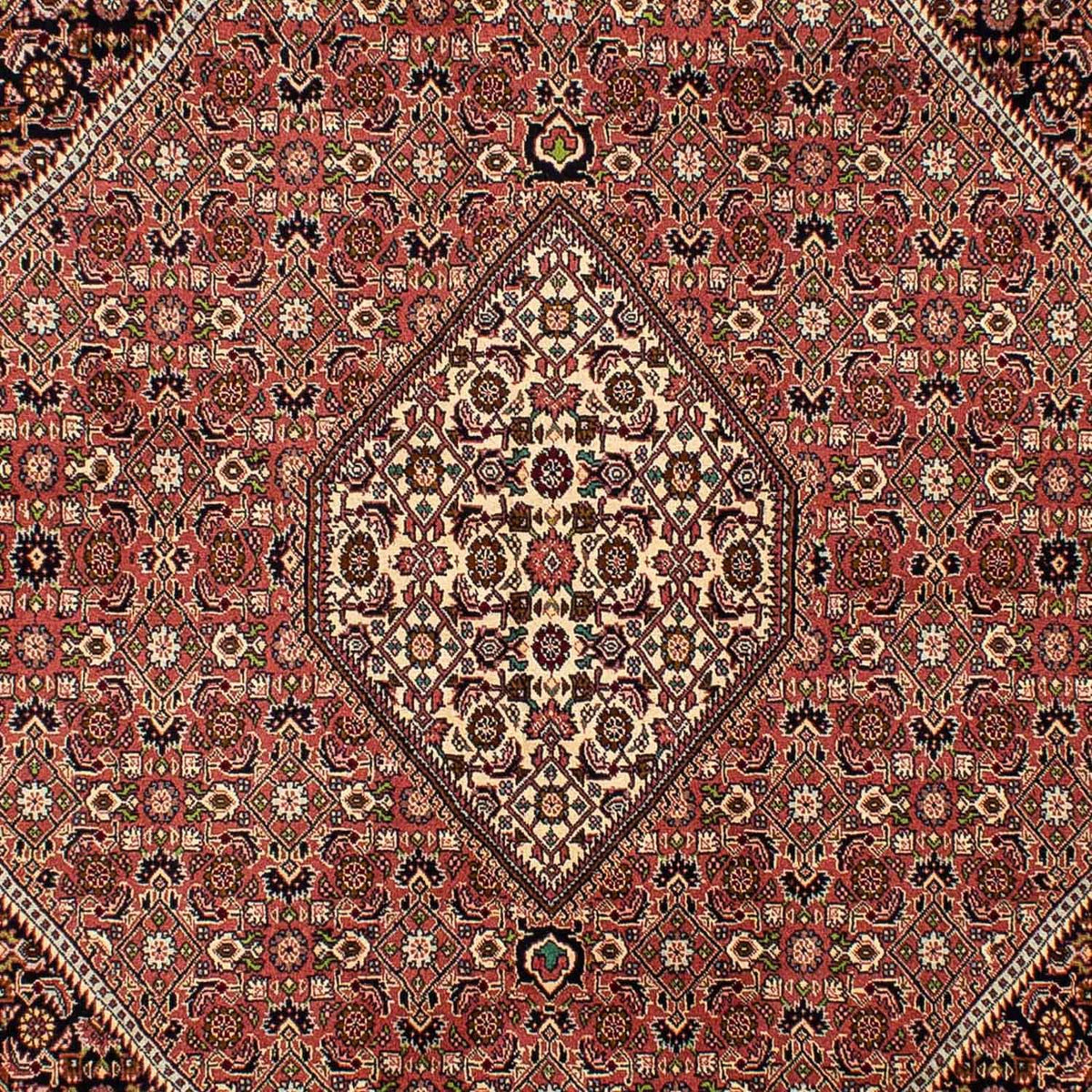 Persisk tæppe - Bijar - 290 x 200 cm - lysrød