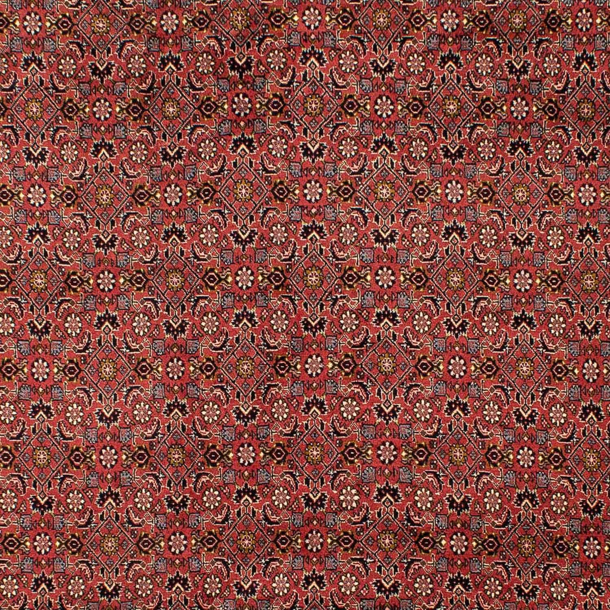 Persisk tæppe - Bijar - 293 x 206 cm - mørkerød