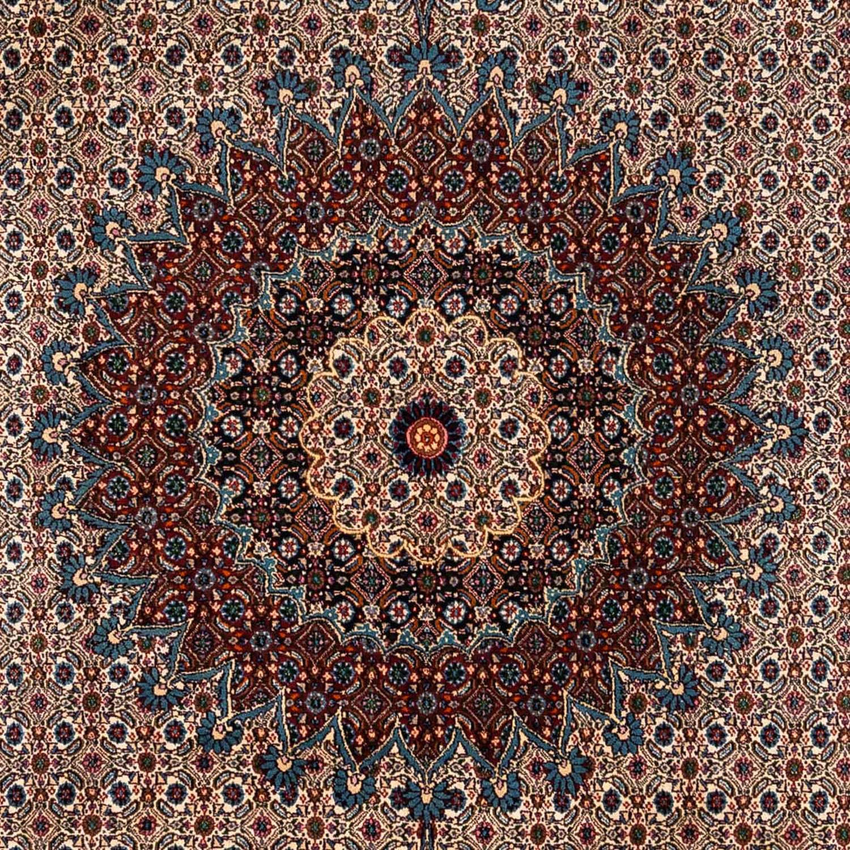 Persisk tæppe - Classic - 342 x 248 cm - lys brun