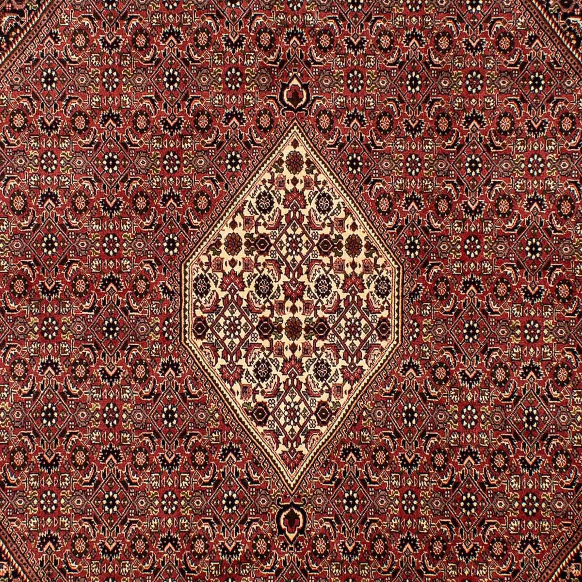 Persisk tæppe - Bijar - 288 x 200 cm - brun