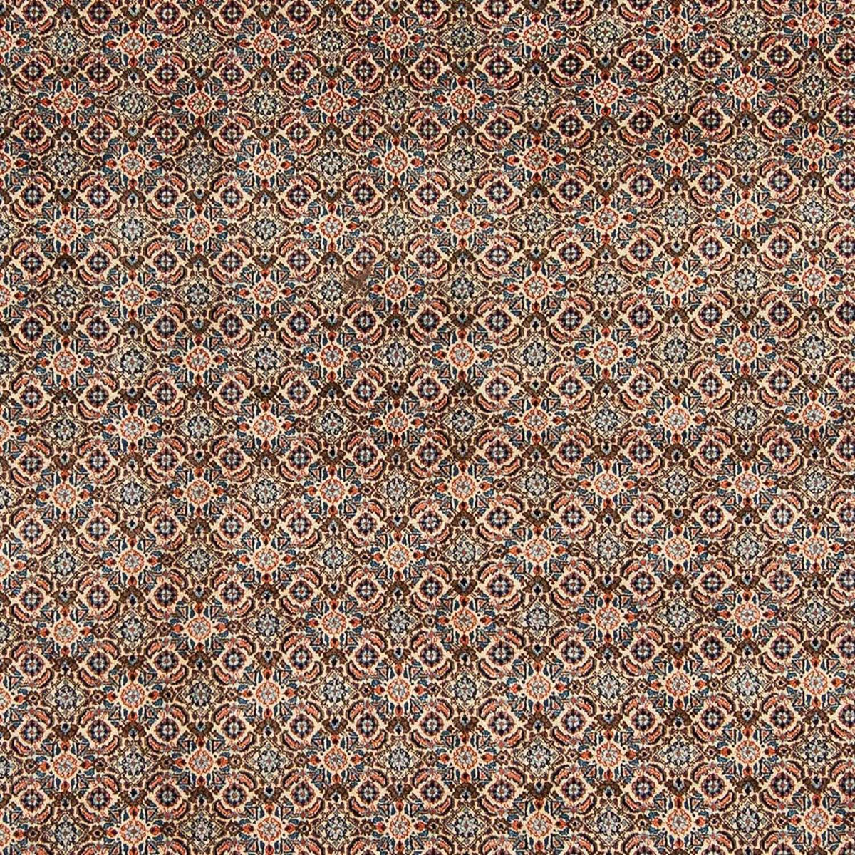 Persisk tæppe - Classic - 303 x 204 cm - beige