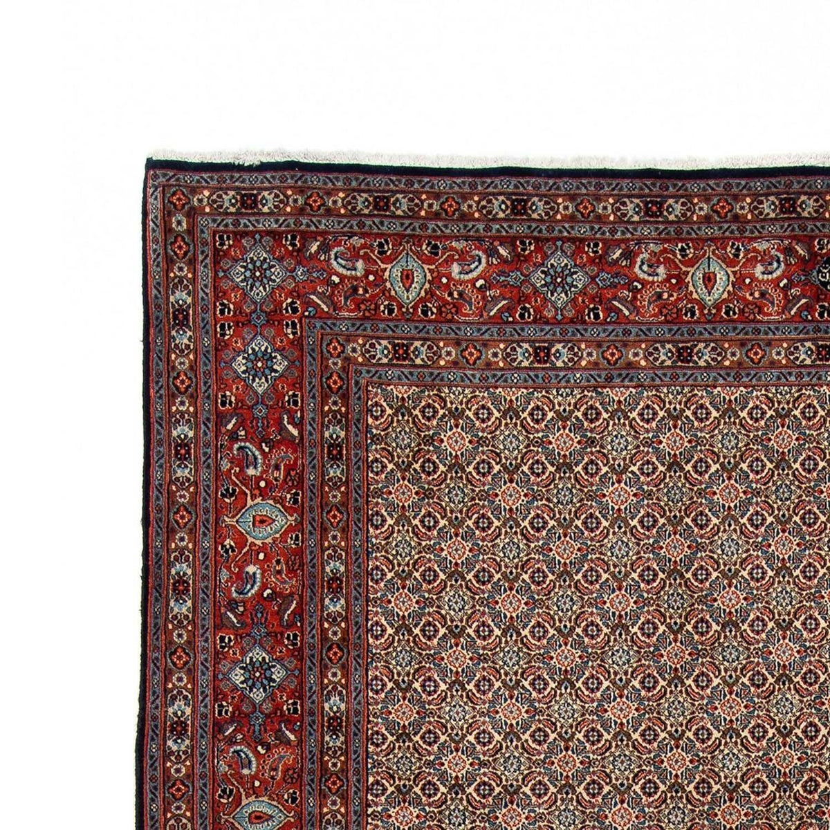 Persisk tæppe - Classic - 303 x 204 cm - beige