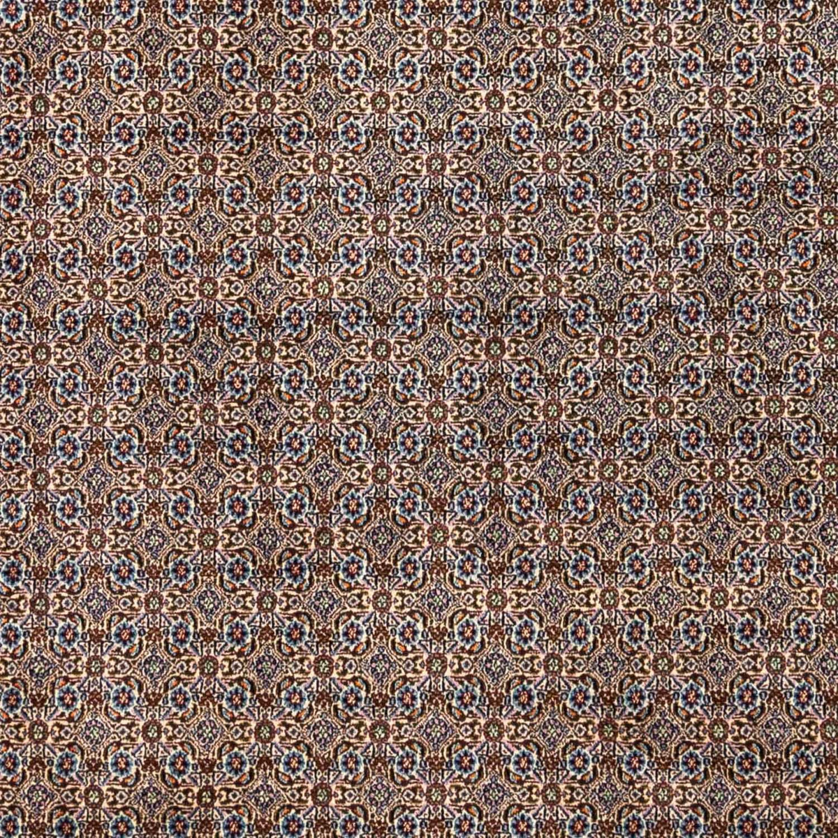 Persisk tæppe - Classic - 345 x 248 cm - beige