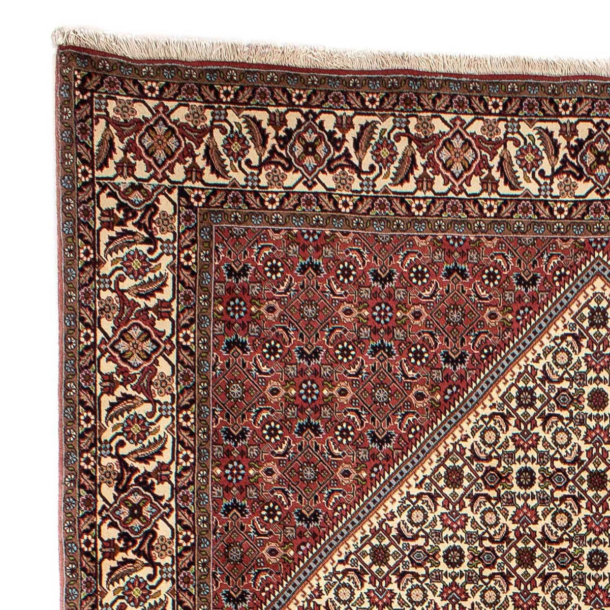 Persisk tæppe - Bijar - 294 x 197 cm - beige