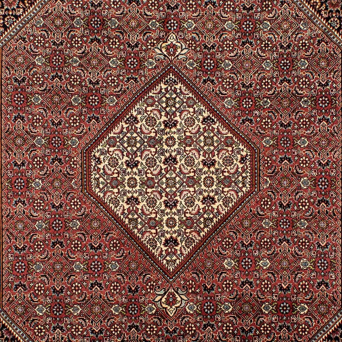 Persisk tæppe - Bijar - 298 x 195 cm - brun