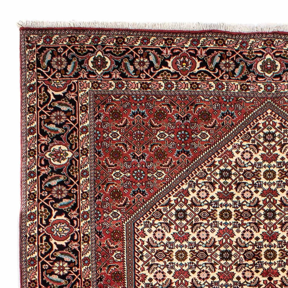 Persisk tæppe - Bijar - 300 x 196 cm - beige