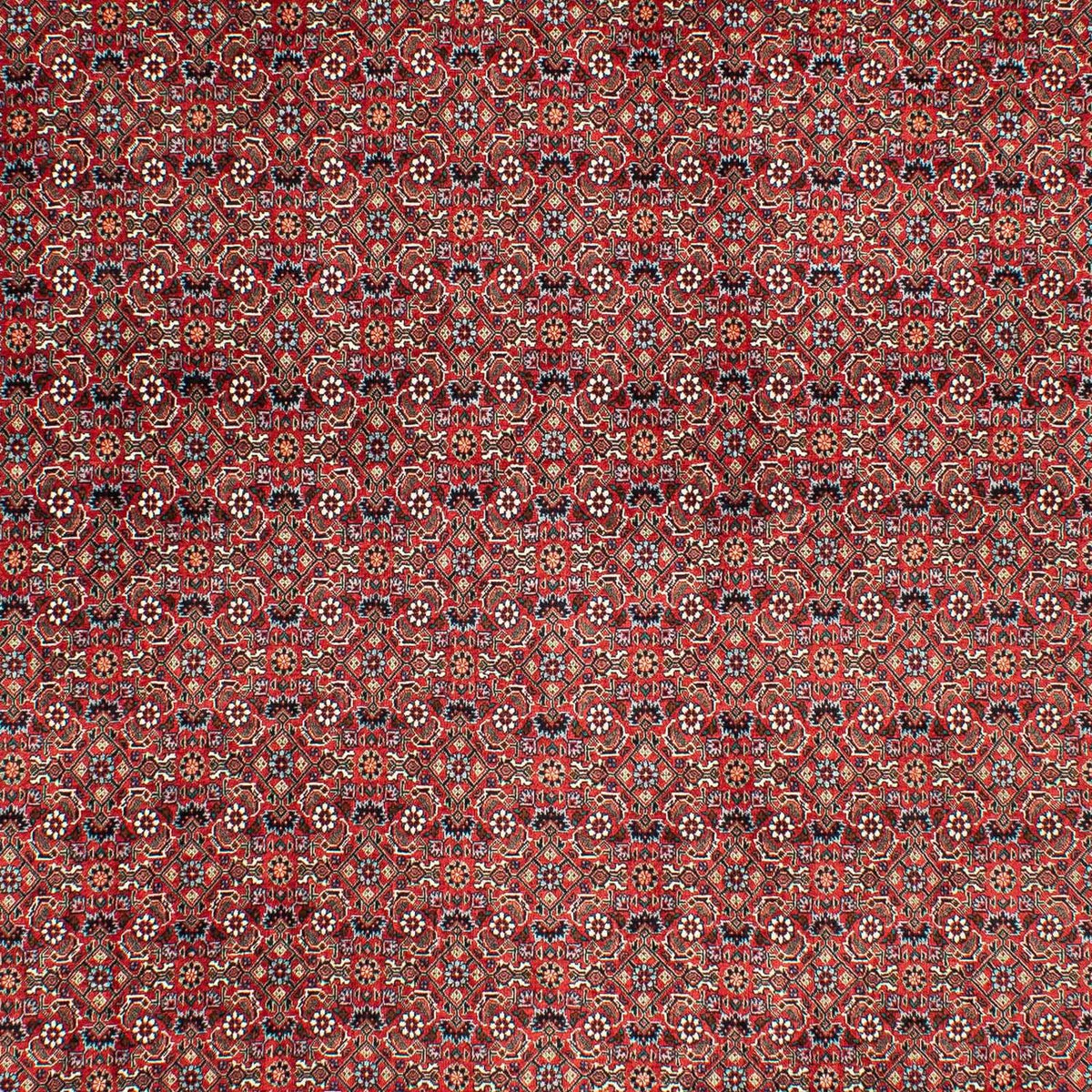 Persisk tæppe - Bijar - 290 x 203 cm - mørkerød