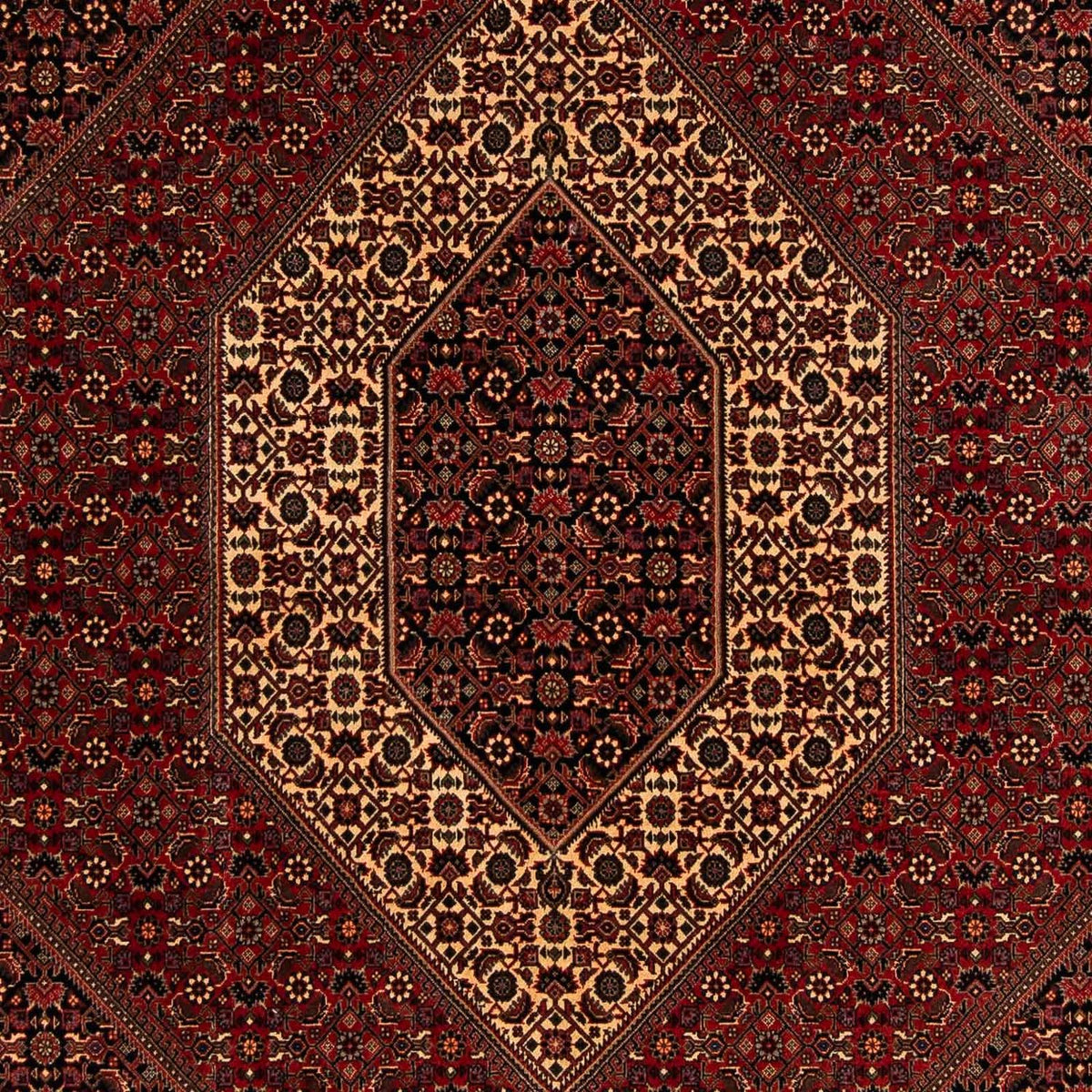 Persisk tæppe - Bijar - 248 x 200 cm - mørkerød