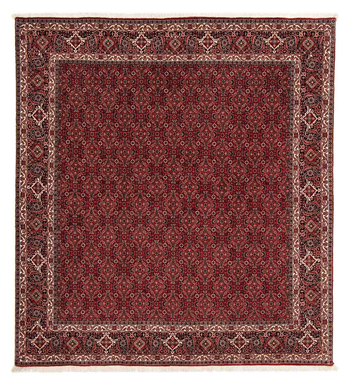 Persisk tæppe - Bijar firkantet  - 212 x 206 cm - mørkerød