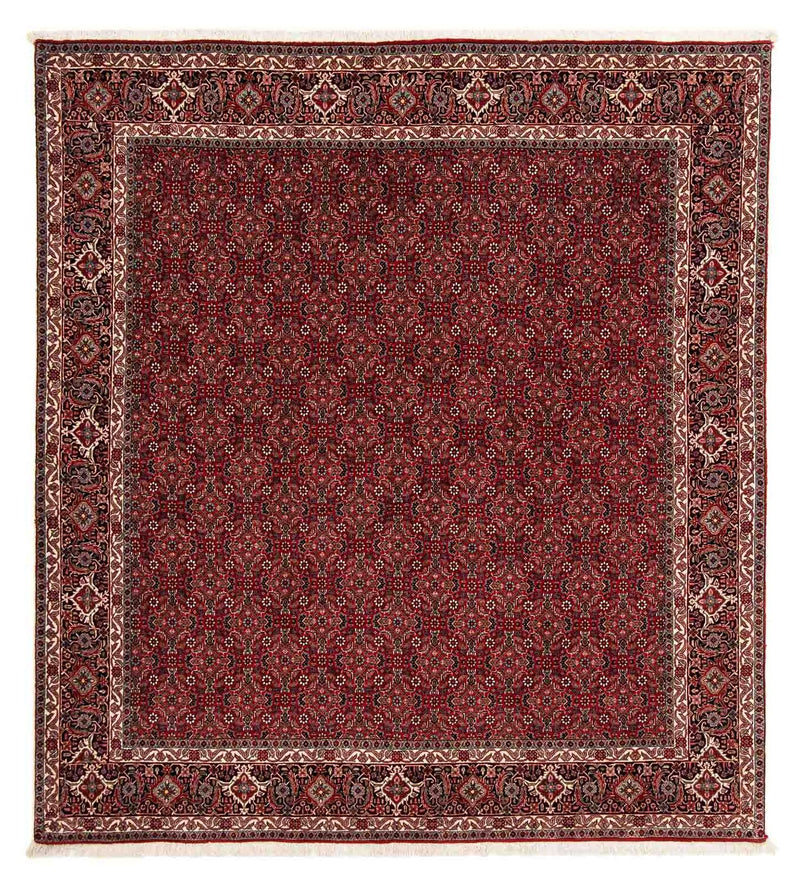 Persisk tæppe - Bijar firkantet  - 212 x 206 cm - mørkerød