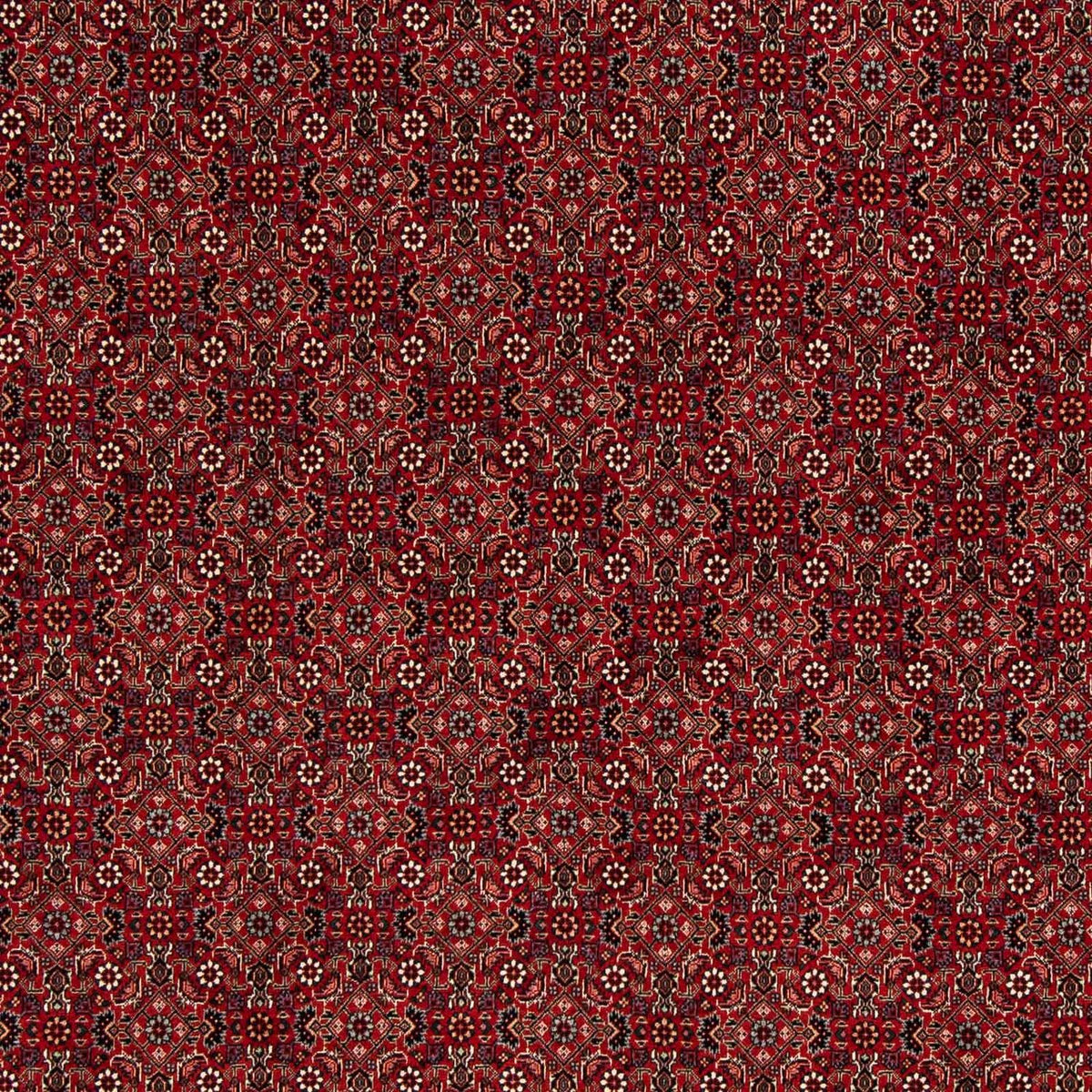 Persisk tæppe - Bijar firkantet  - 212 x 206 cm - mørkerød