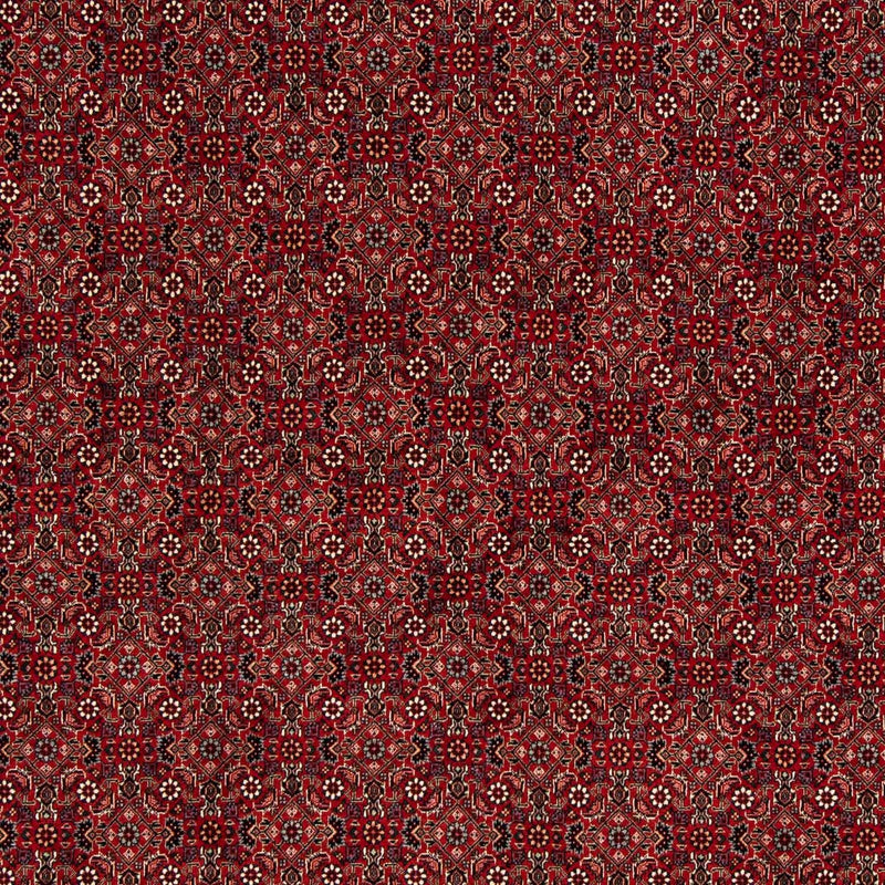 Persisk tæppe - Bijar firkantet  - 212 x 206 cm - mørkerød