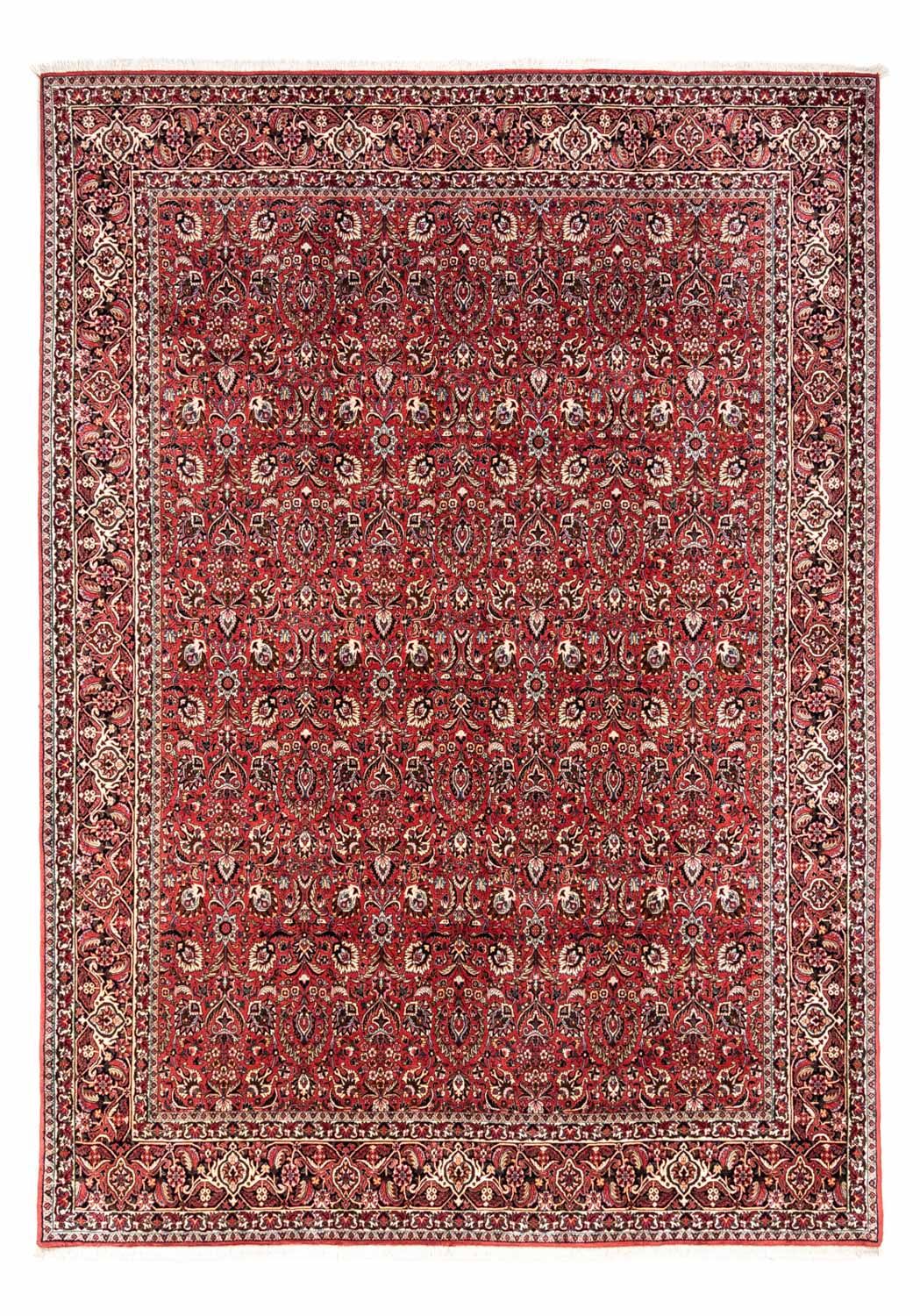 Persisk tæppe - Bijar - Royal - 349 x 252 cm - rød