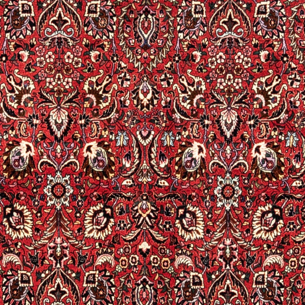 Persisk tæppe - Bijar - Royal - 349 x 252 cm - rød