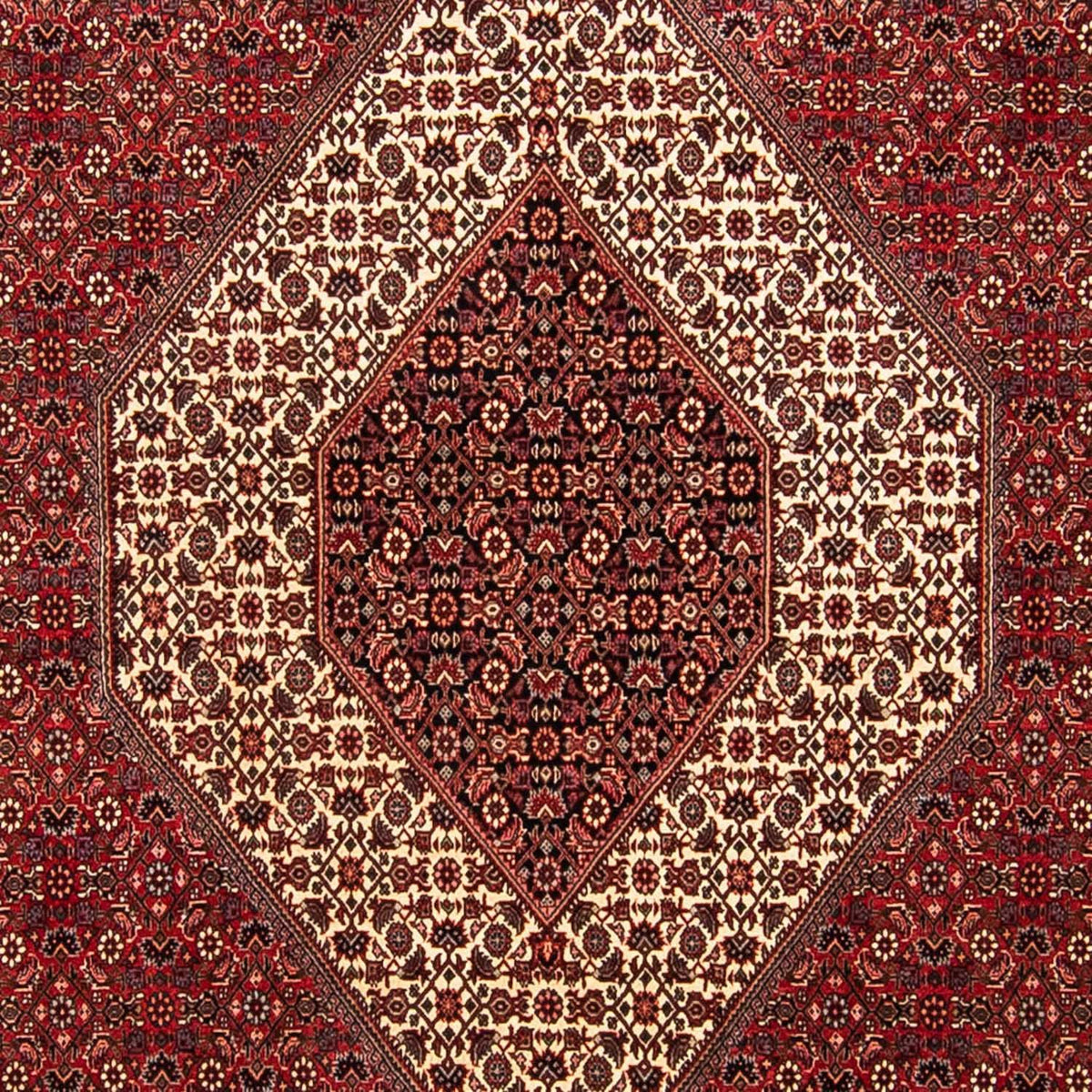 Persisk tæppe - Bijar - 304 x 251 cm - mørkerød