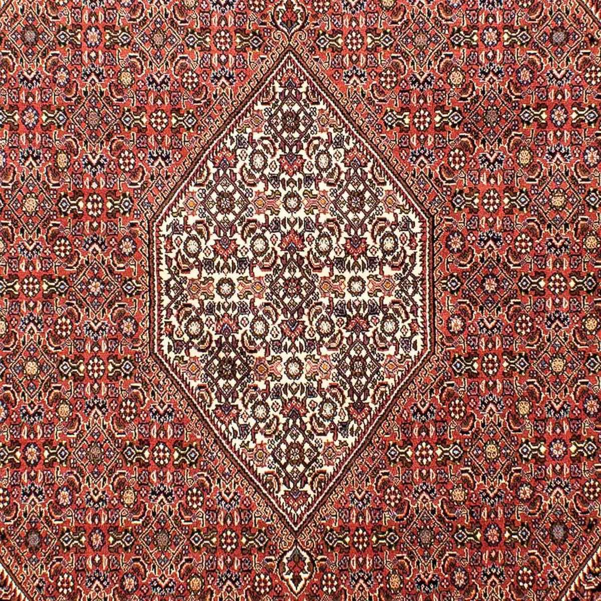 Persisk tæppe - Bijar - 268 x 165 cm - lysrød