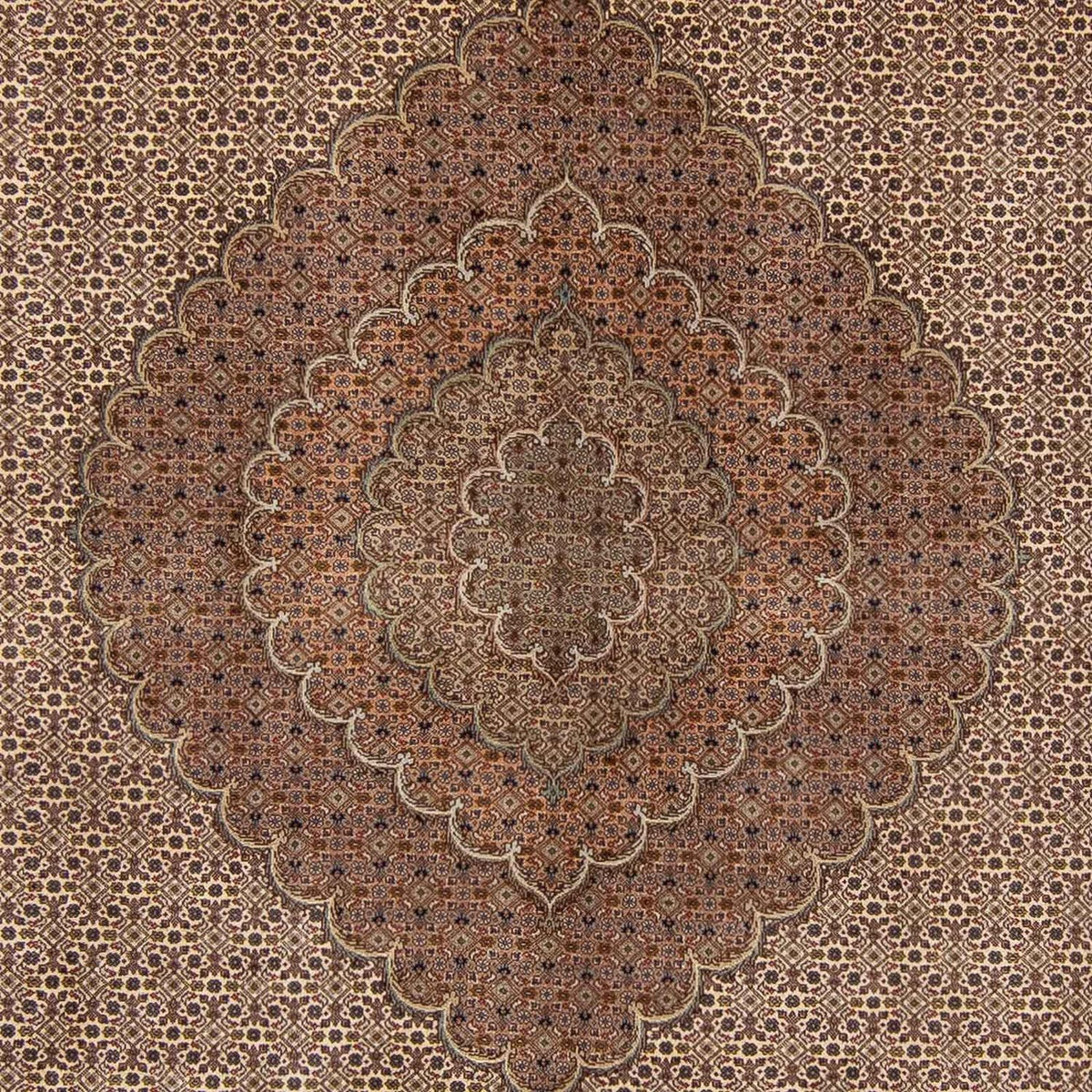 Persisk tæppe - Nomadisk - 360 x 263 cm - mørkebrun