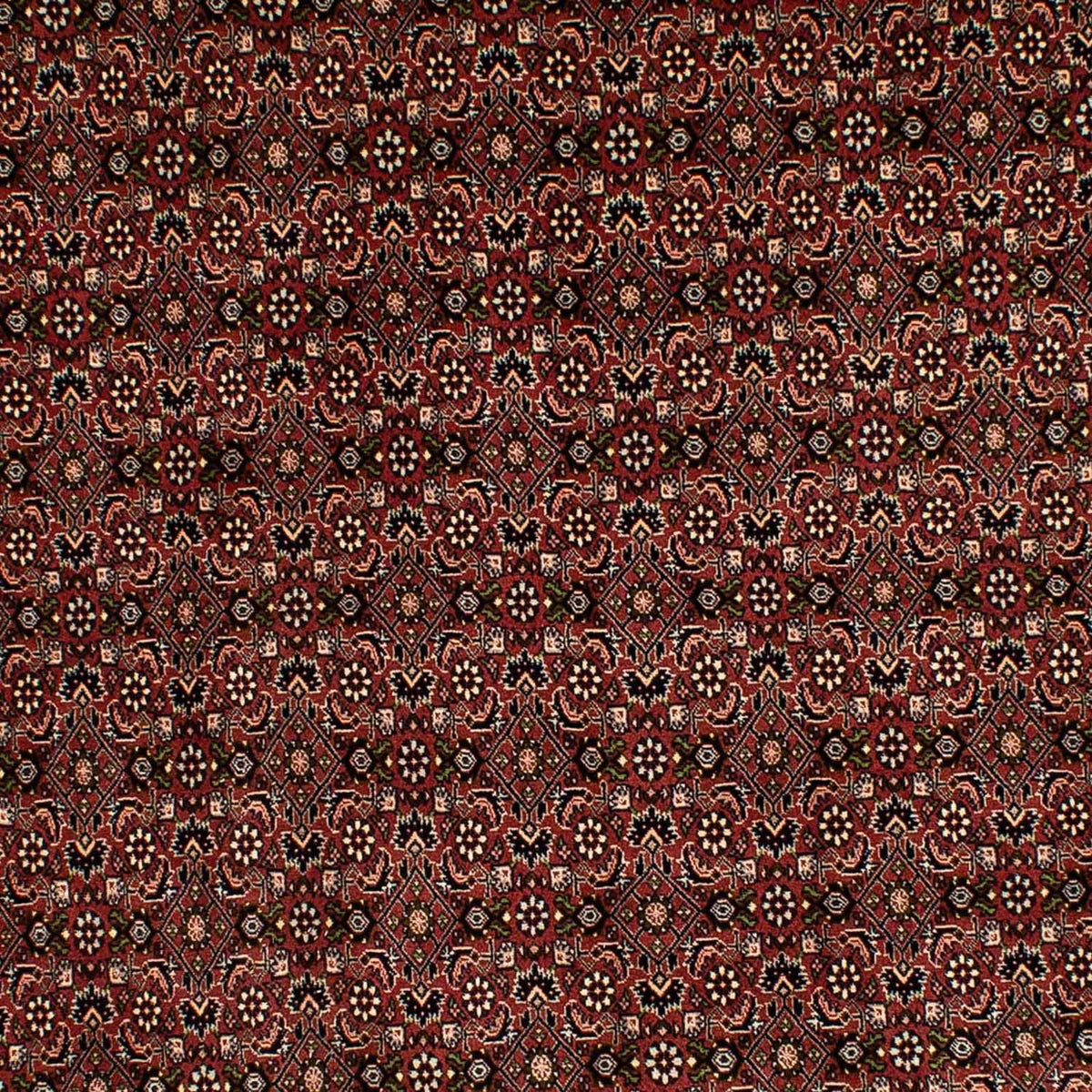 Persisk tæppe - Bijar - 293 x 198 cm - brun