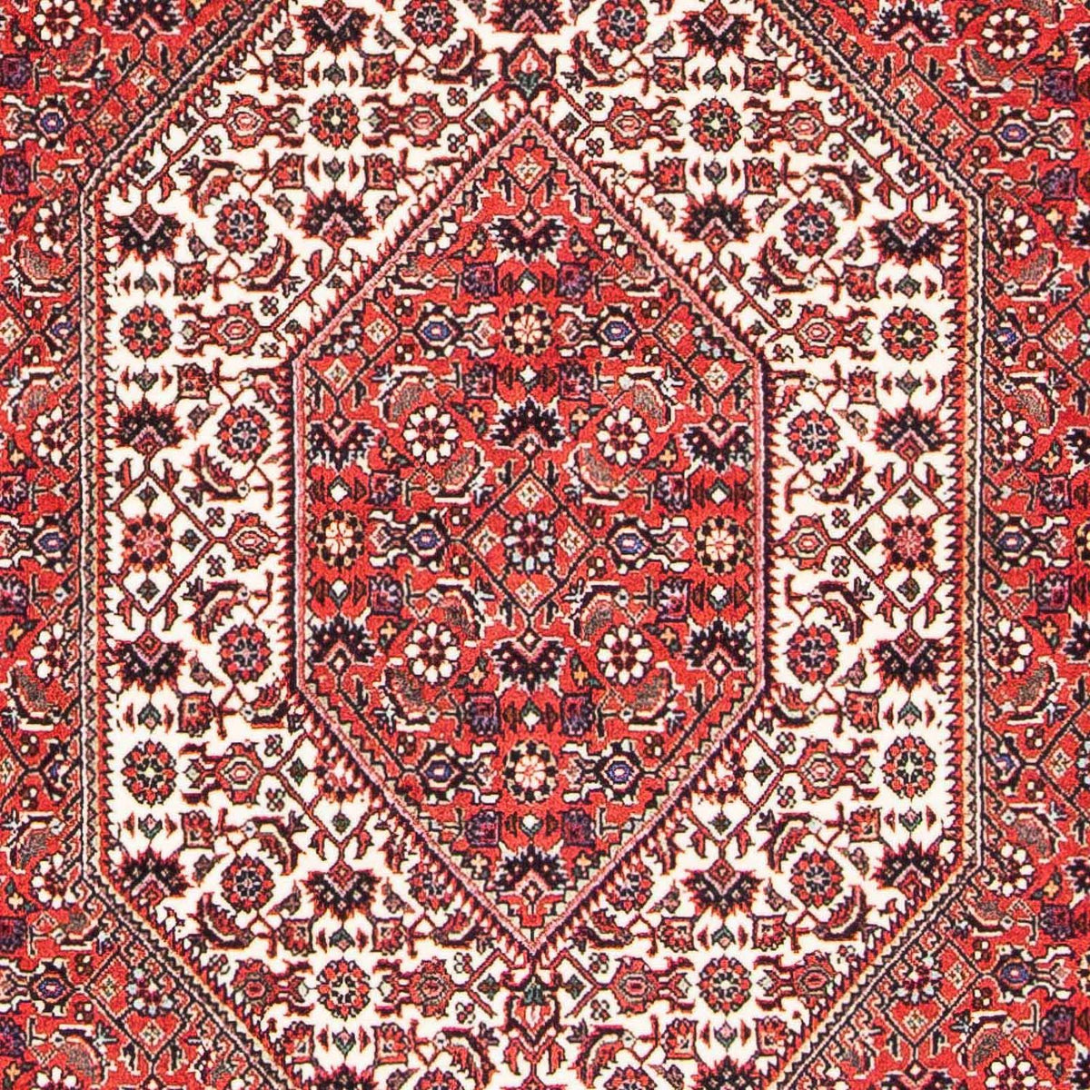 Persisk tæppe - Bijar - 175 x 108 cm - lysrød