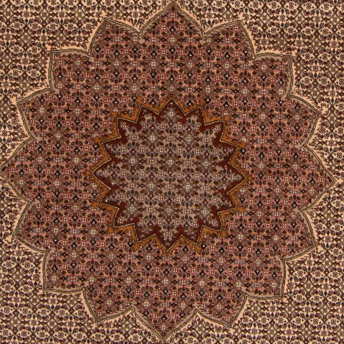 Persisk tæppe - Tabriz - Royal - 260 x 248 cm - brun