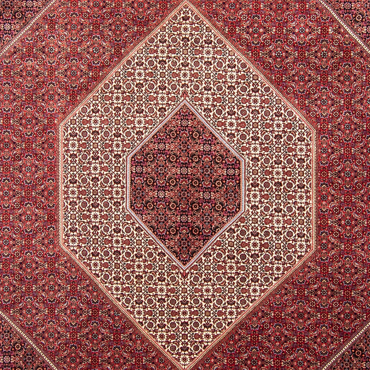 Persisk tæppe - Bijar - 358 x 253 cm - mørkerød