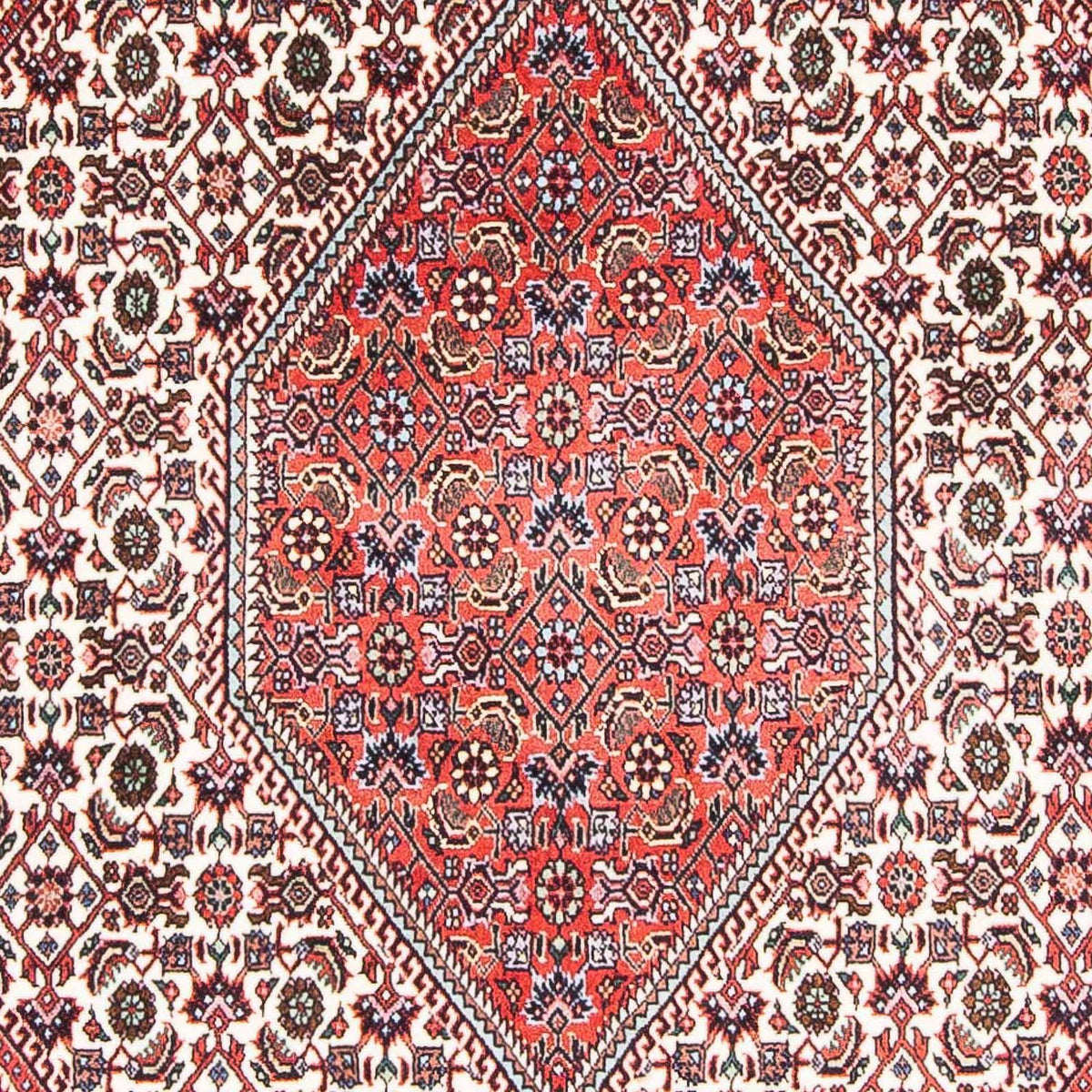 Persisk tæppe - Bijar - 175 x 113 cm - beige