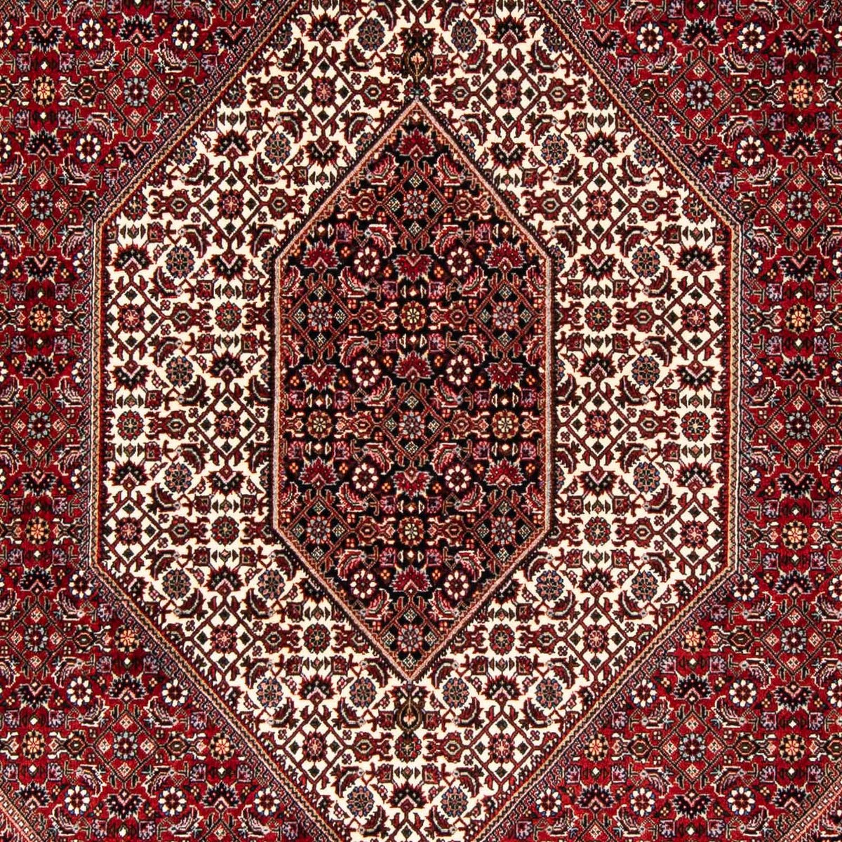 Persisk tæppe - Bijar - 243 x 167 cm - rød