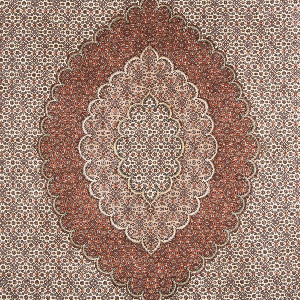 Persisk tæppe - Tabriz - 300 x 200 cm - lys brun