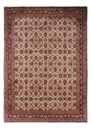 Persisk tæppe - Bijar - Royal - 356 x 252 cm - beige
