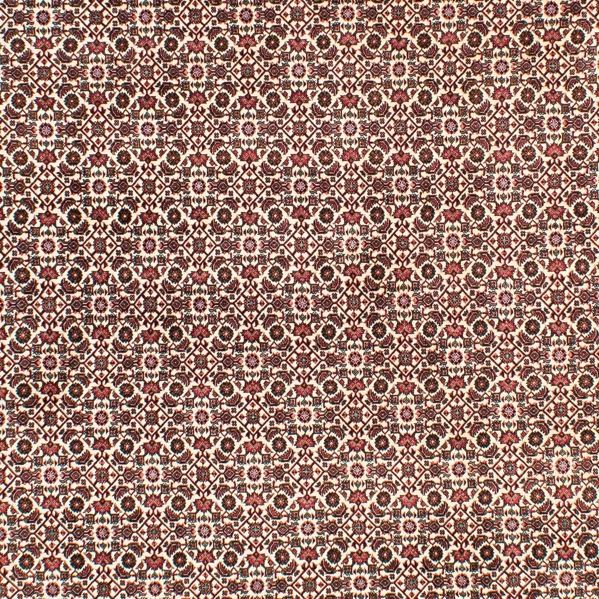 Persisk tæppe - Bijar - 294 x 200 cm - beige