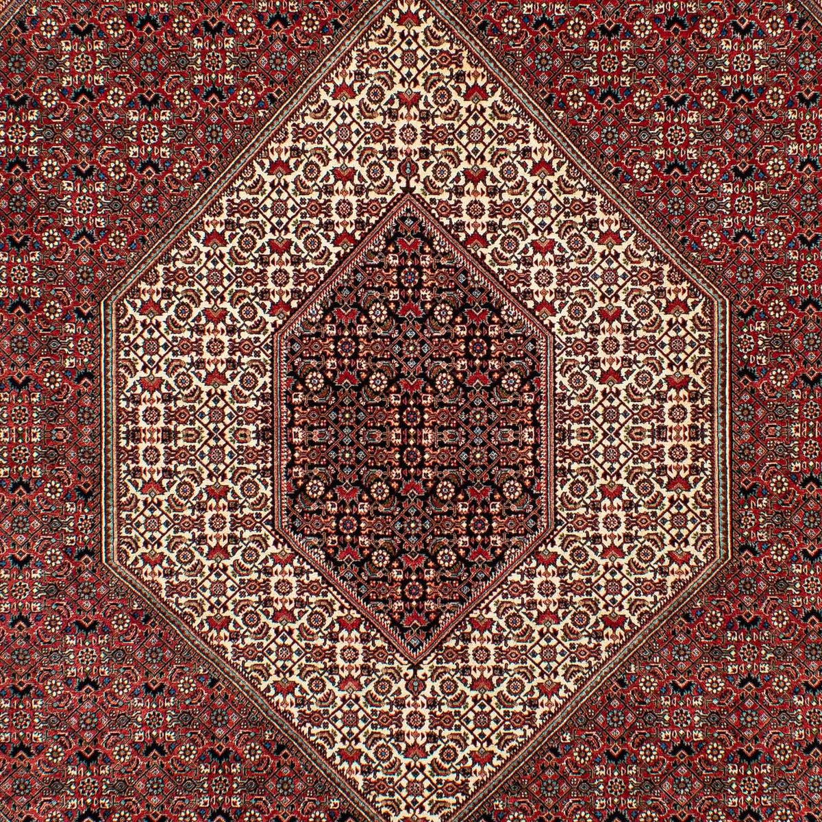 Persisk tæppe - Bijar - 305 x 203 cm - mørkerød