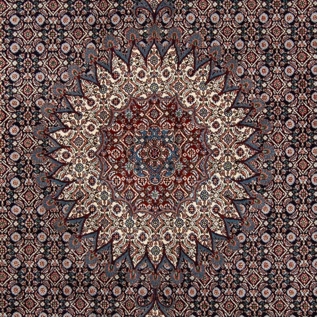 Persisk tæppe - Classic - 298 x 198 cm - mørkeblå