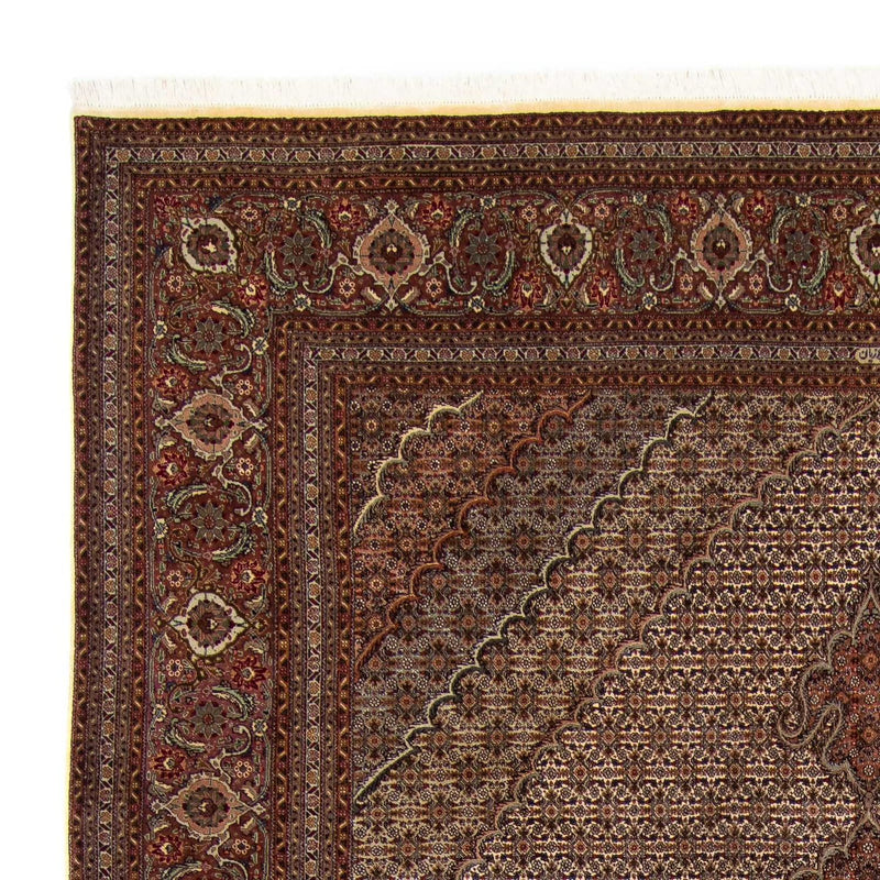 Persisk tæppe - Tabriz - 353 x 245 cm - brun