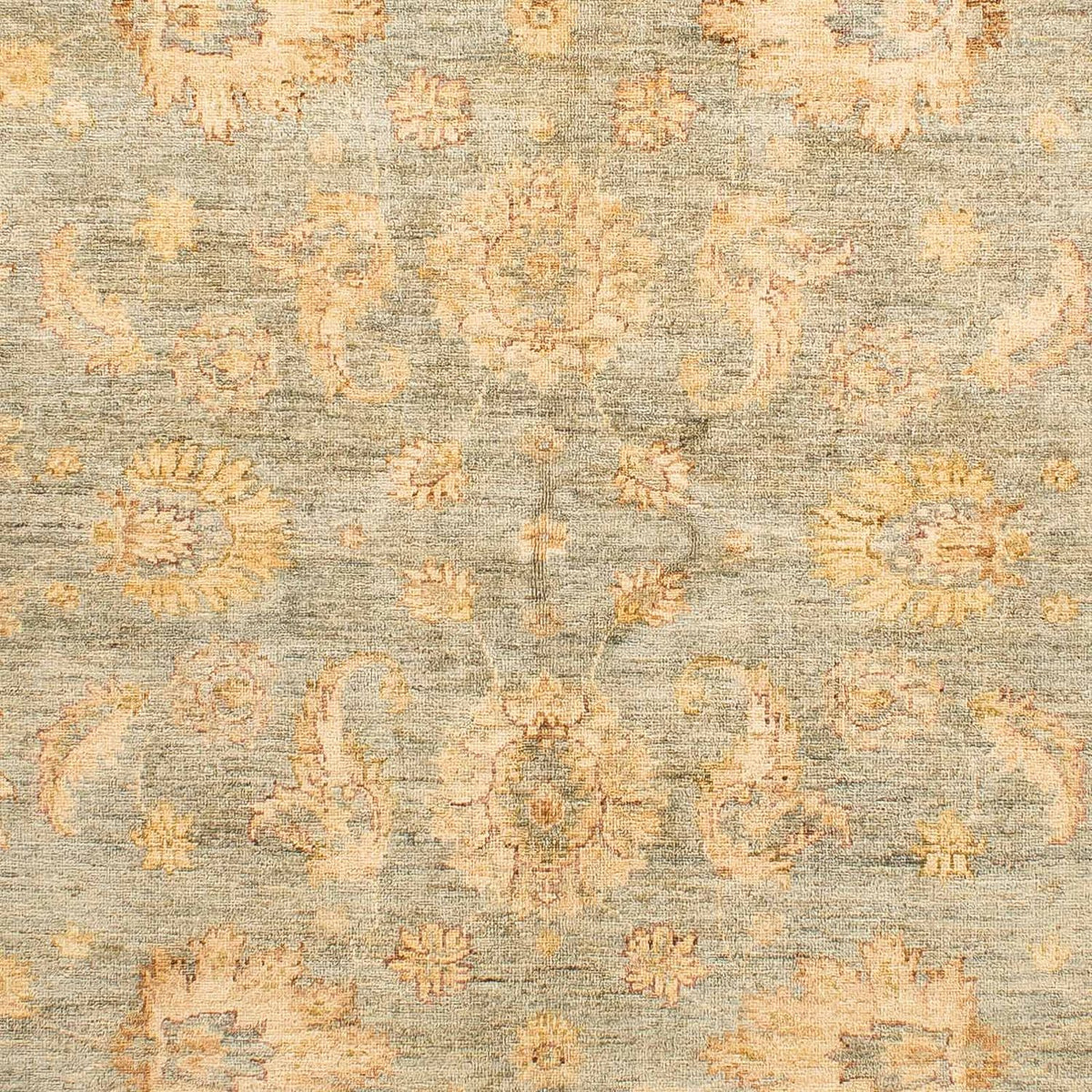 Ziegler Carpet - 234 x 173 cm - lys brun