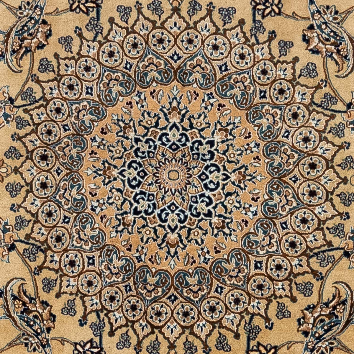 Persisk tæppe - Nain - Royal - 342 x 240 cm - beige