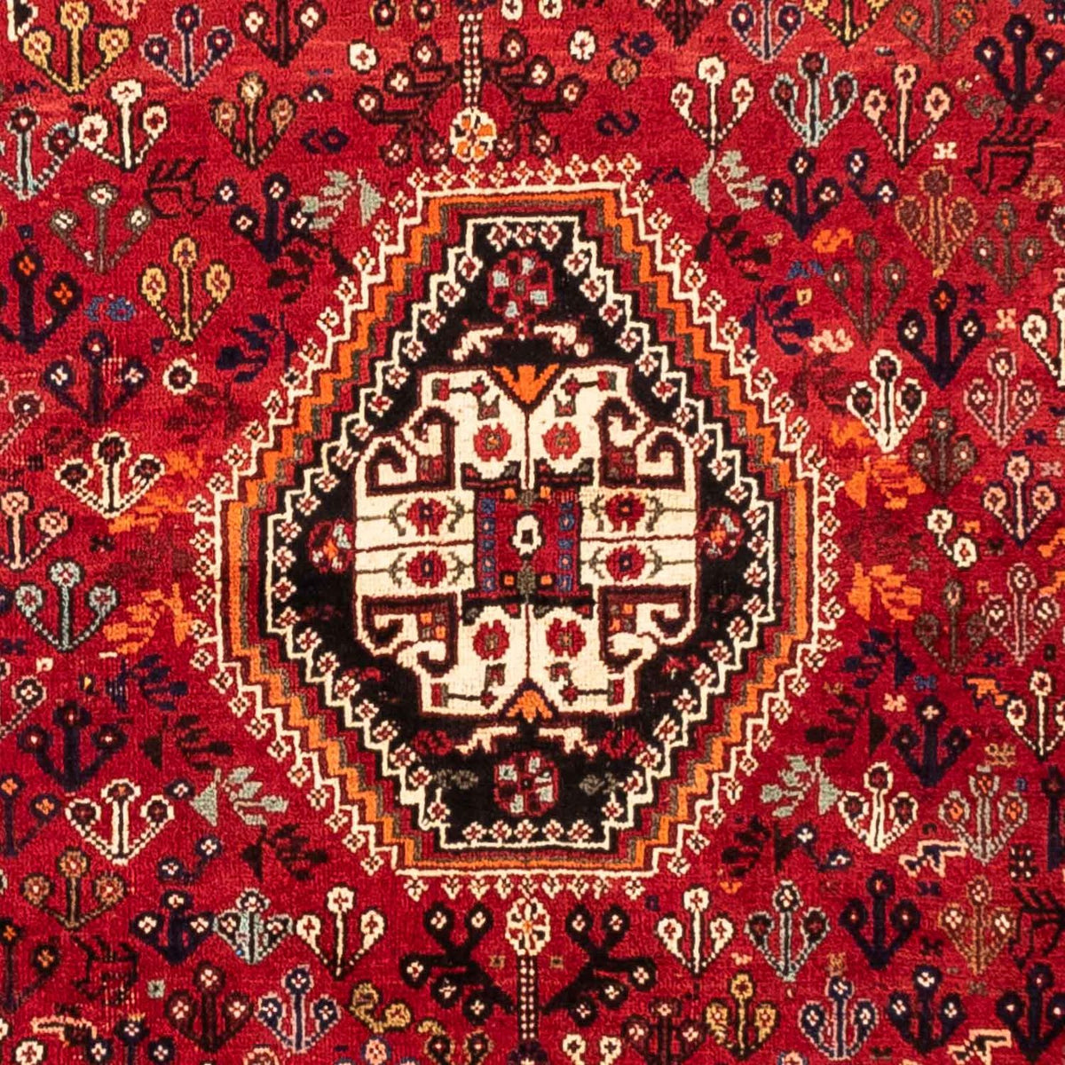 Persisk tæppe - Nomadisk - 251 x 176 cm - mørkerød