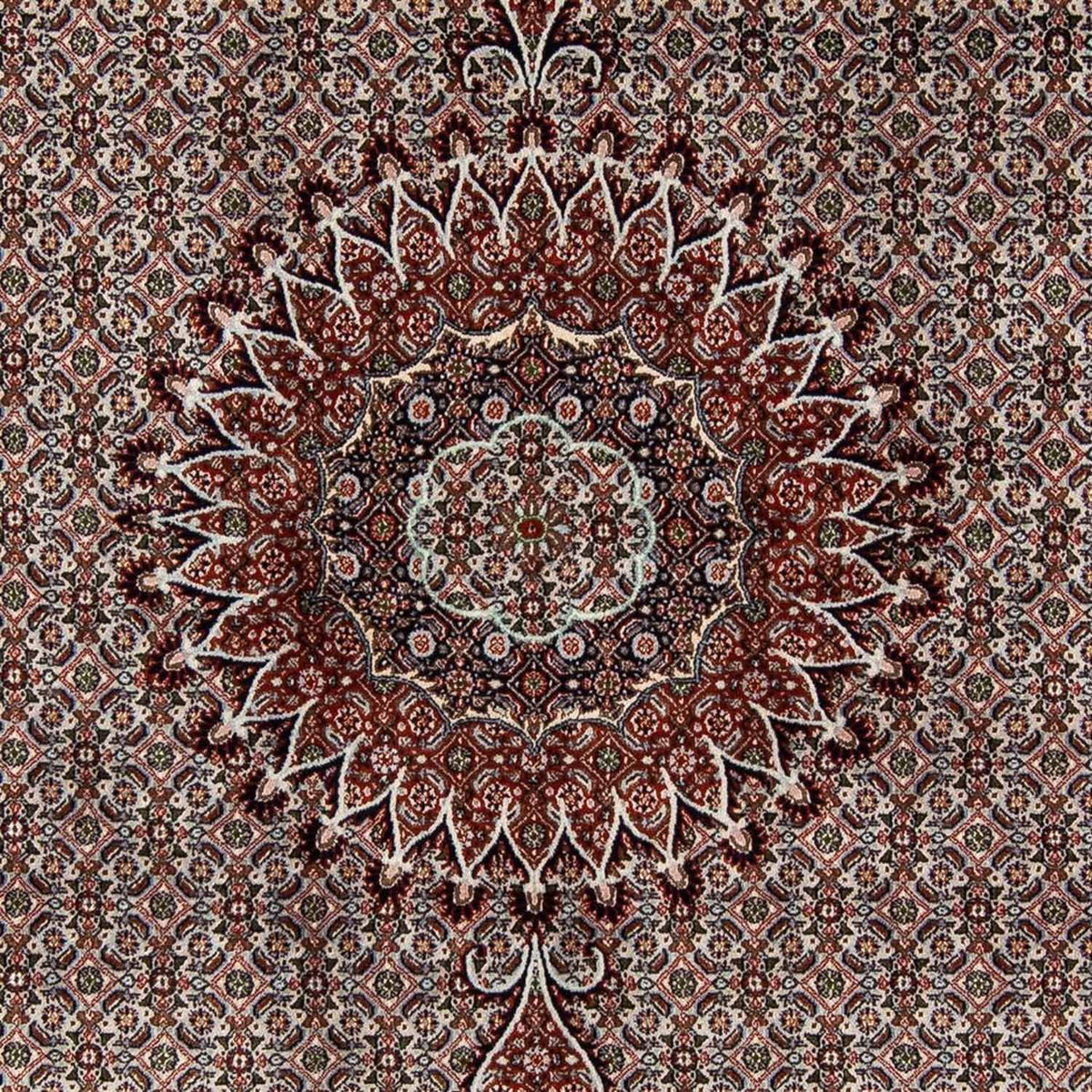 Persisk tæppe - Classic - 284 x 201 cm - beige