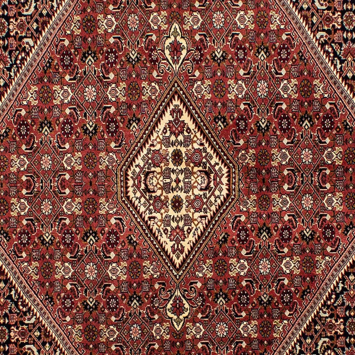 Persisk tæppe - Bijar - 254 x 176 cm - brun