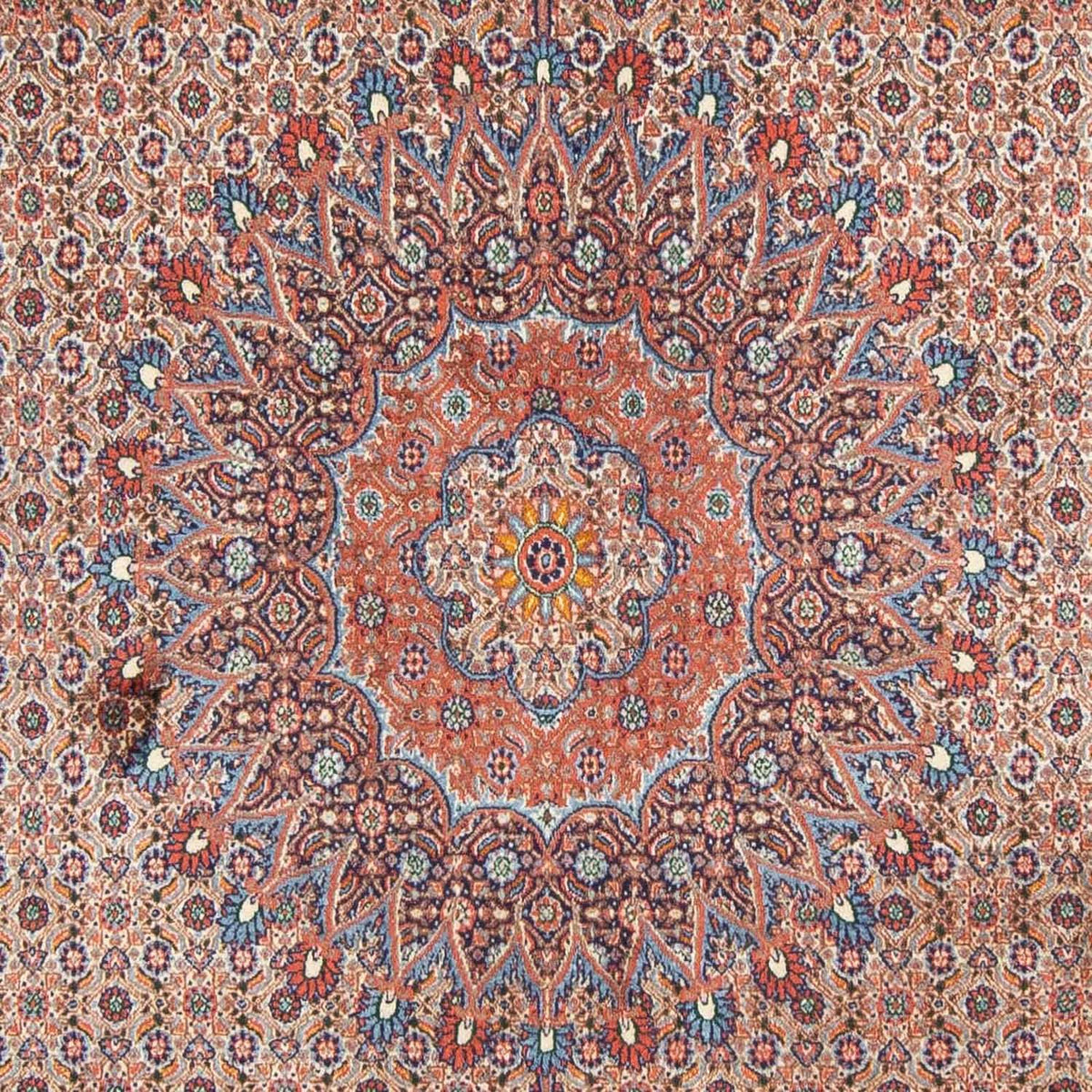 Persisk tæppe - Classic - 293 x 198 cm - lysrød