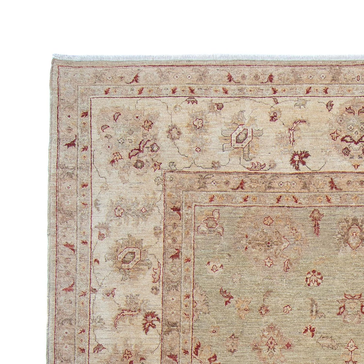 Ziegler Carpet - 368 x 279 cm - lys beige