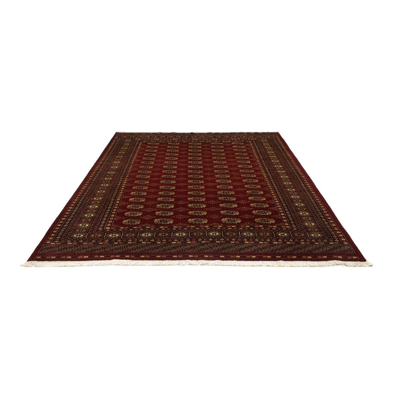 Afghansk tæppe - Bukhara - 240 x 203 cm - rød