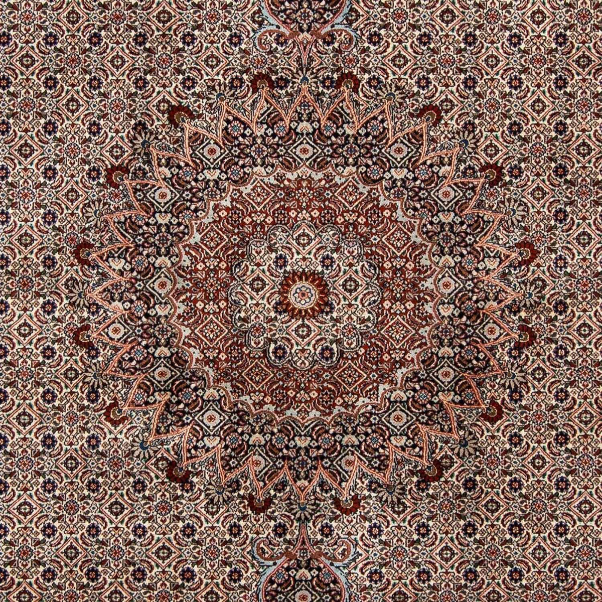 Persisk tæppe - Classic - 289 x 202 cm - beige