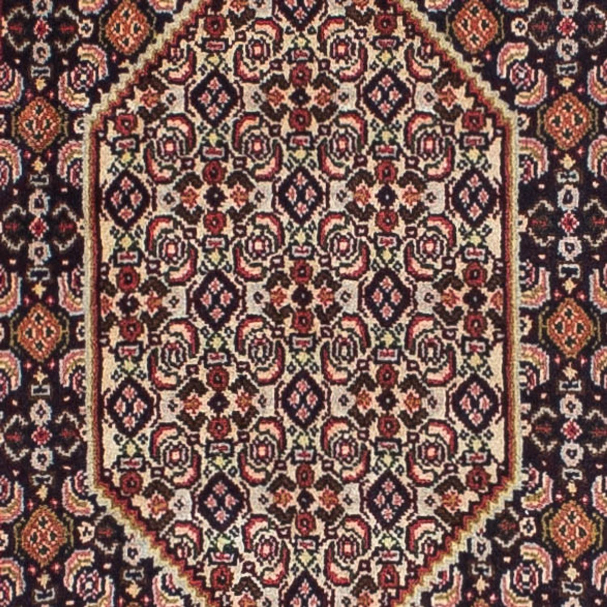Løber Persisk tæppe - Classic - 252 x 51 cm - flerfarvet