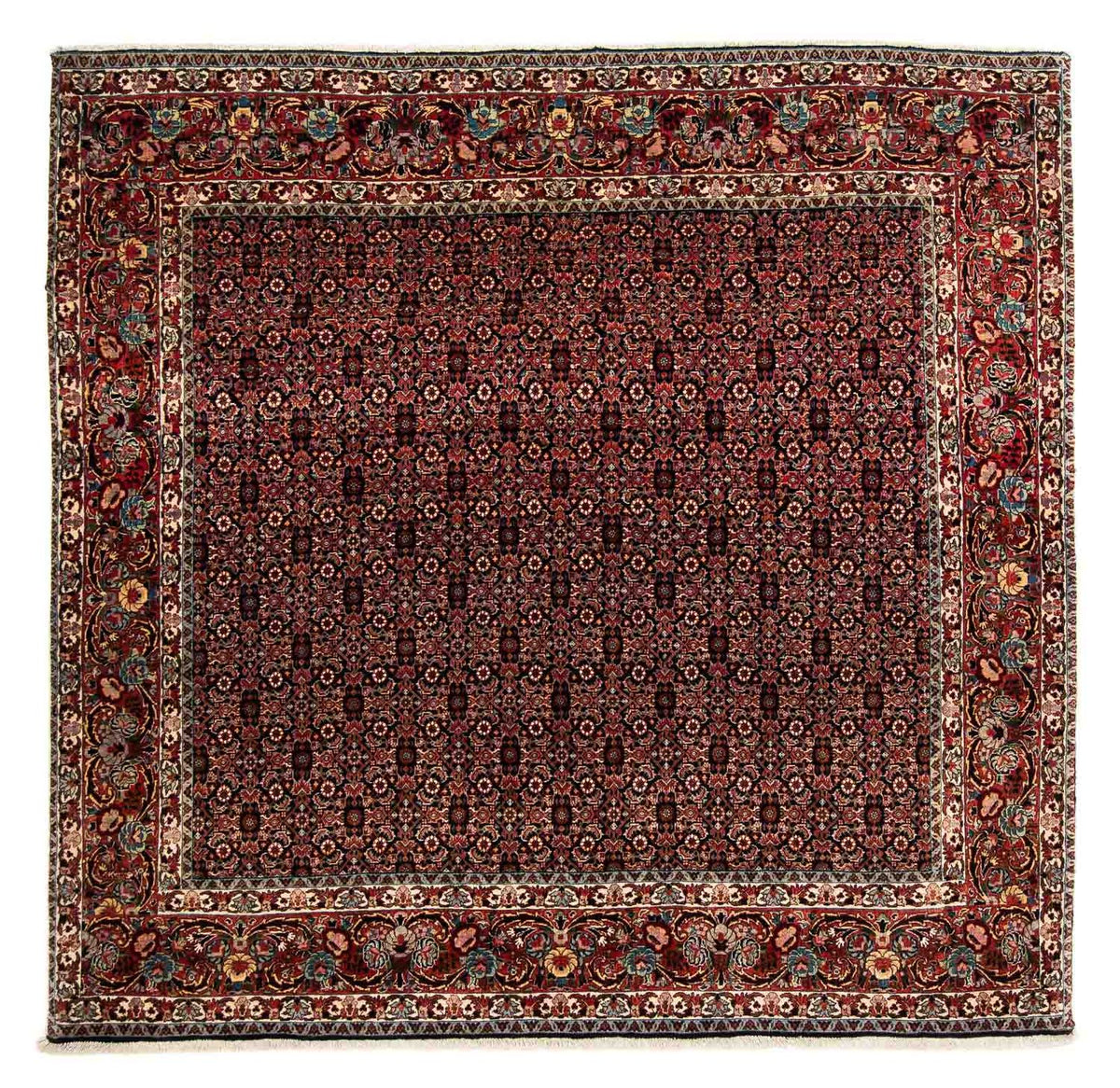 Persisk tæppe - Bijar firkantet - 208 x 197 cm - brun