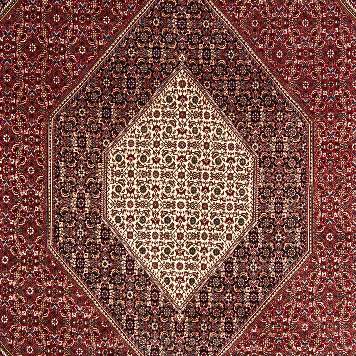 Persisk tæppe - Bijar - 349 x 245 cm - lysrød