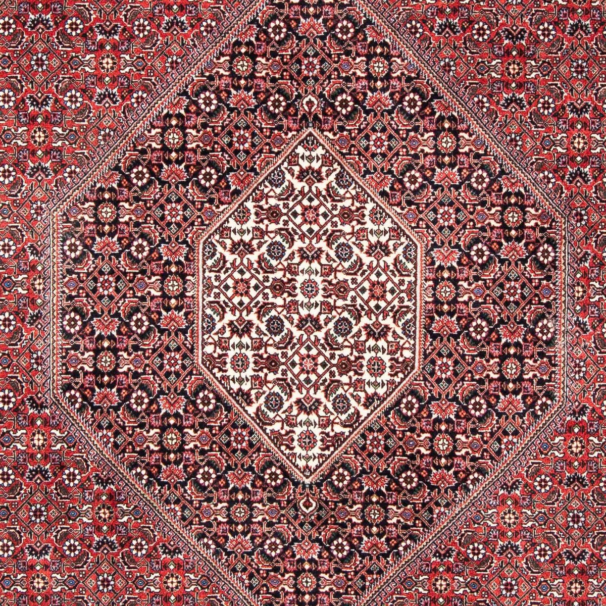 Persisk tæppe - Bijar - 253 x 174 cm - lysrød