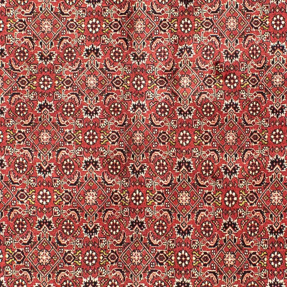 Persisk tæppe - Bijar - 205 x 141 cm - mørkerød