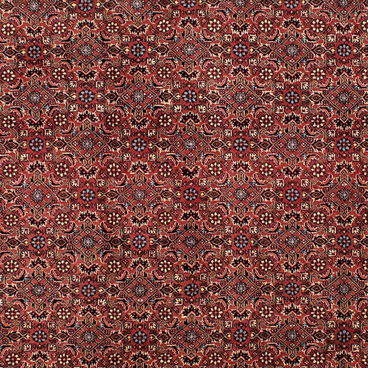 Persisk tæppe - Bijar - 300 x 200 cm - mørkerød