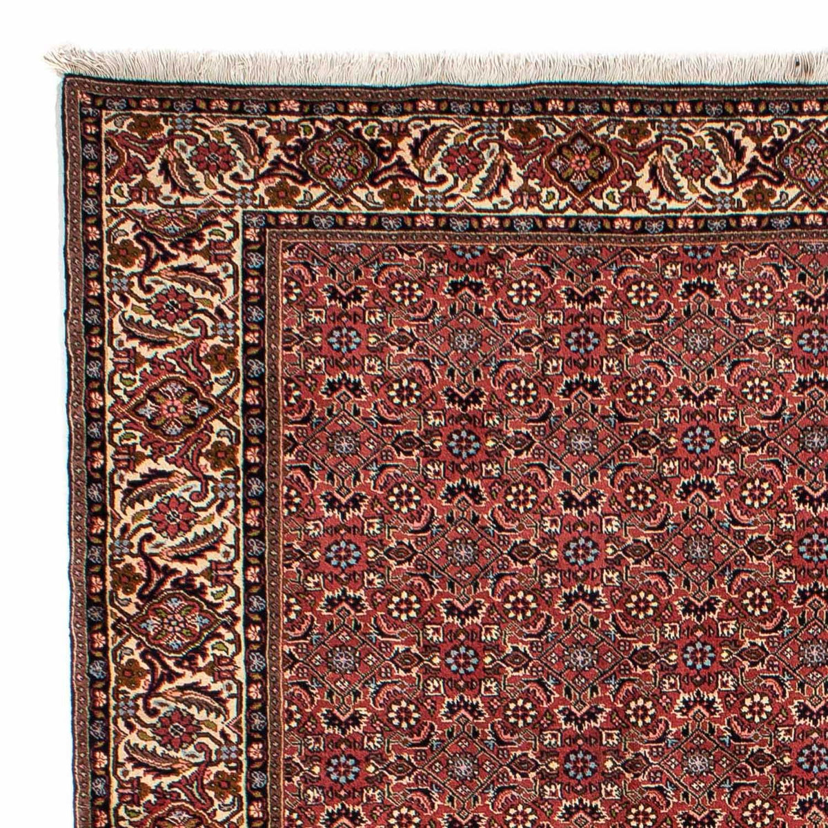 Persisk tæppe - Bijar - 300 x 200 cm - mørkerød