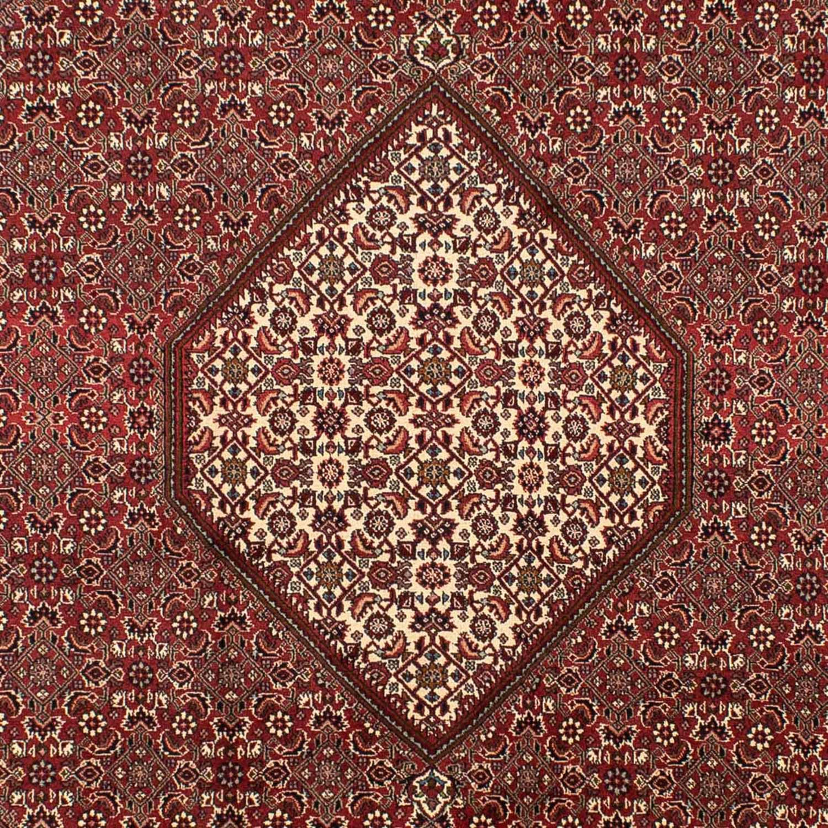 Persisk tæppe - Bijar - 295 x 204 cm - brun